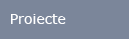 Projects